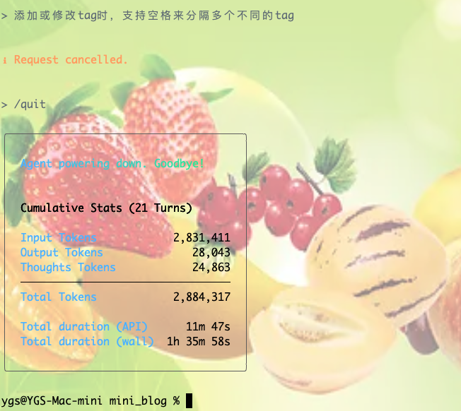 Gemini CLI交互消耗token